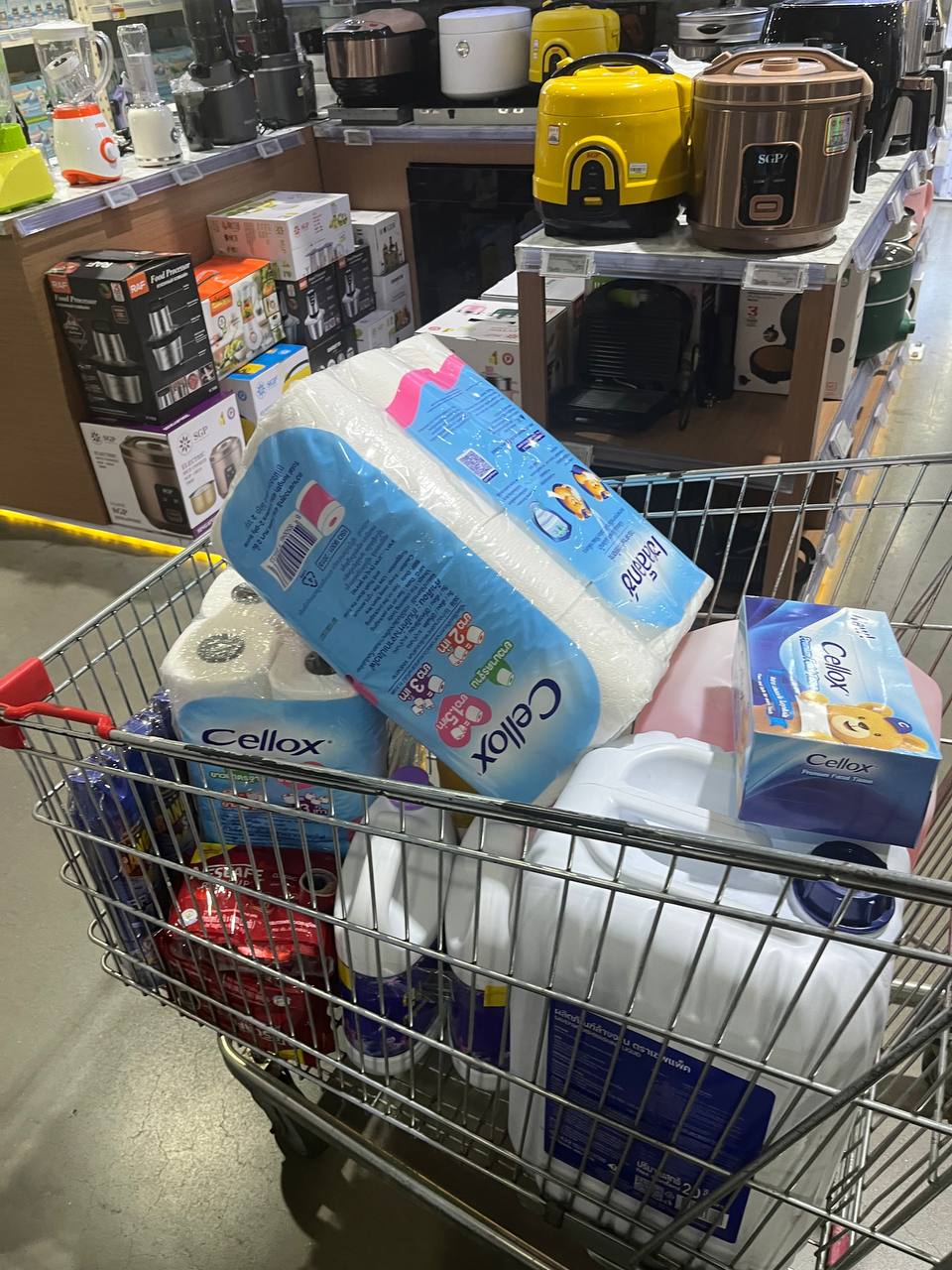 Importation of Consumer Goods in Cambodia - Image 39